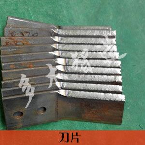 上海多木实业有限公司-成功案例