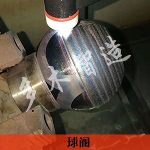 上海多木实业有限公司-成功案例