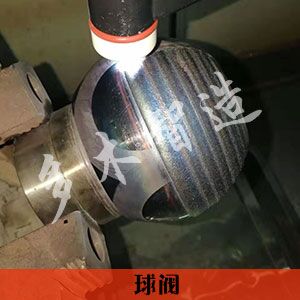 上海多木实业有限公司-成功案例